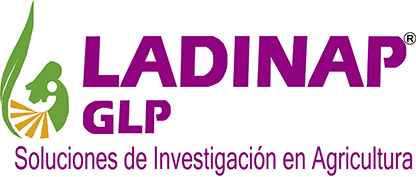 Logo Img